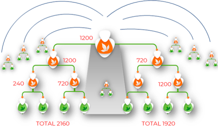 aplgo comp plan5